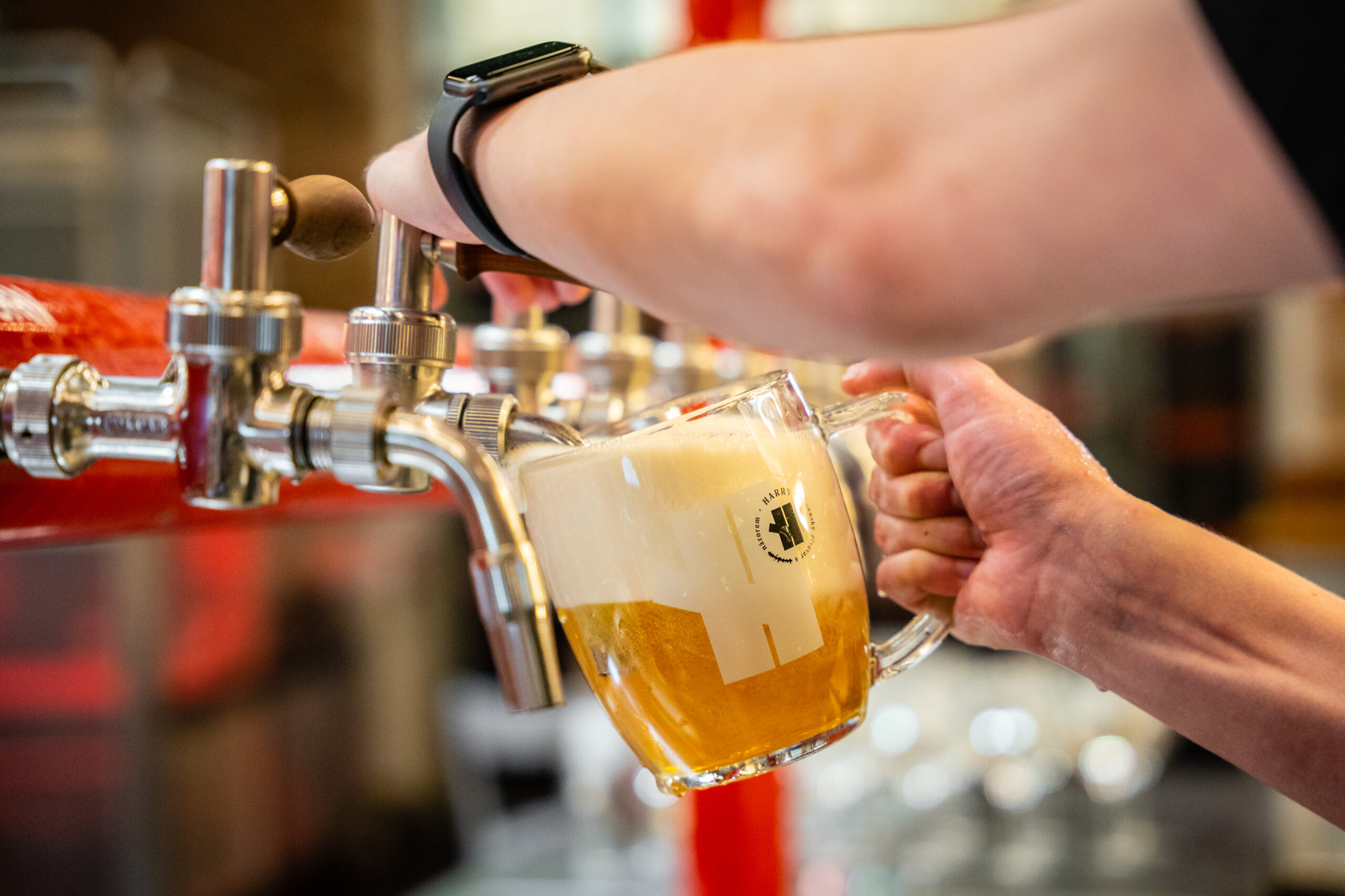 Hospoda, pivo, výčep, zahrádka a Pivovar HARRY